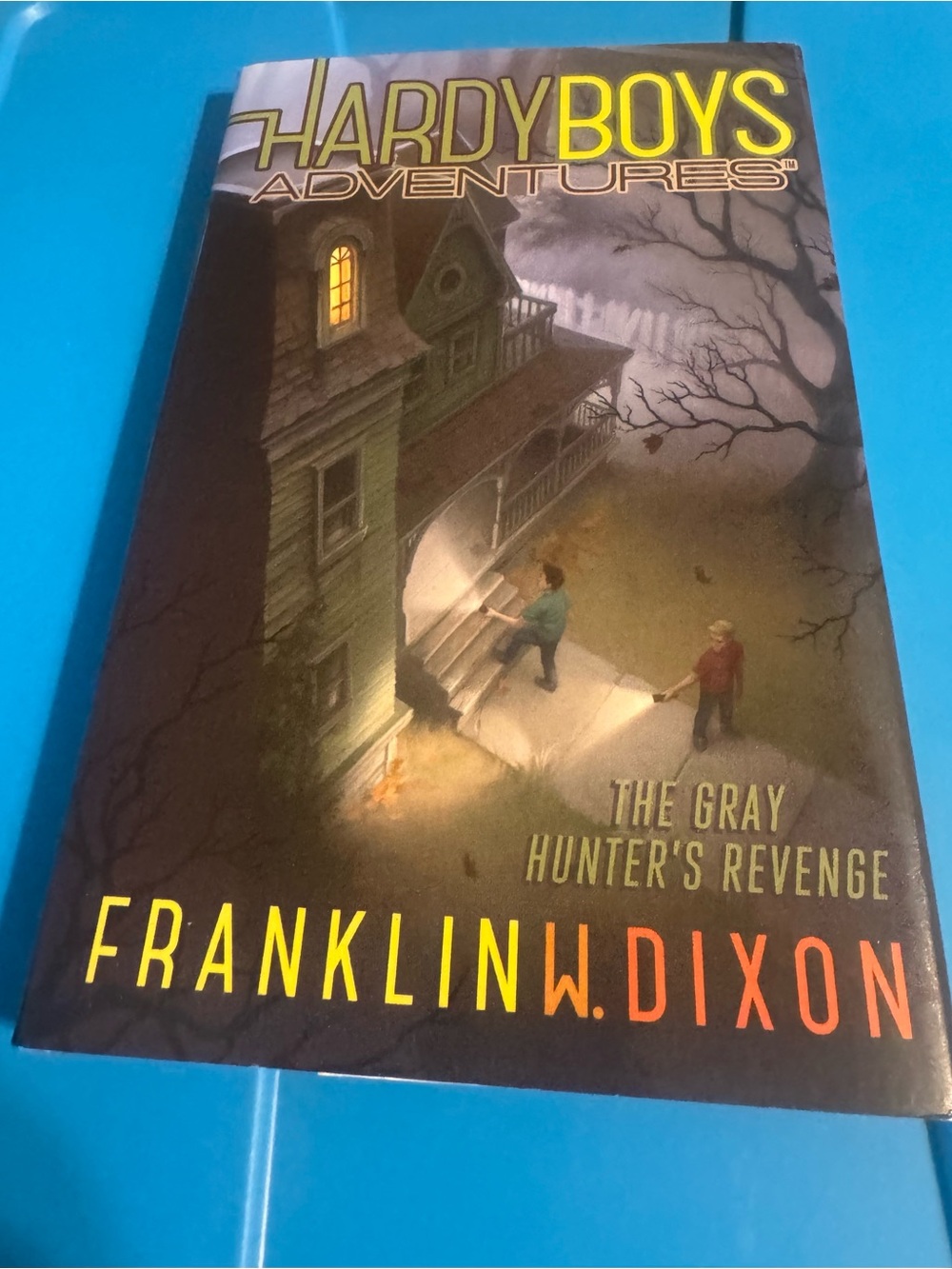 Hardy Boys Adventures: The Gray Hunter's Revenge – (Gray/Brown Cover)